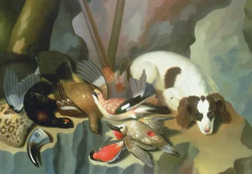 Hund bewacht totes Wild